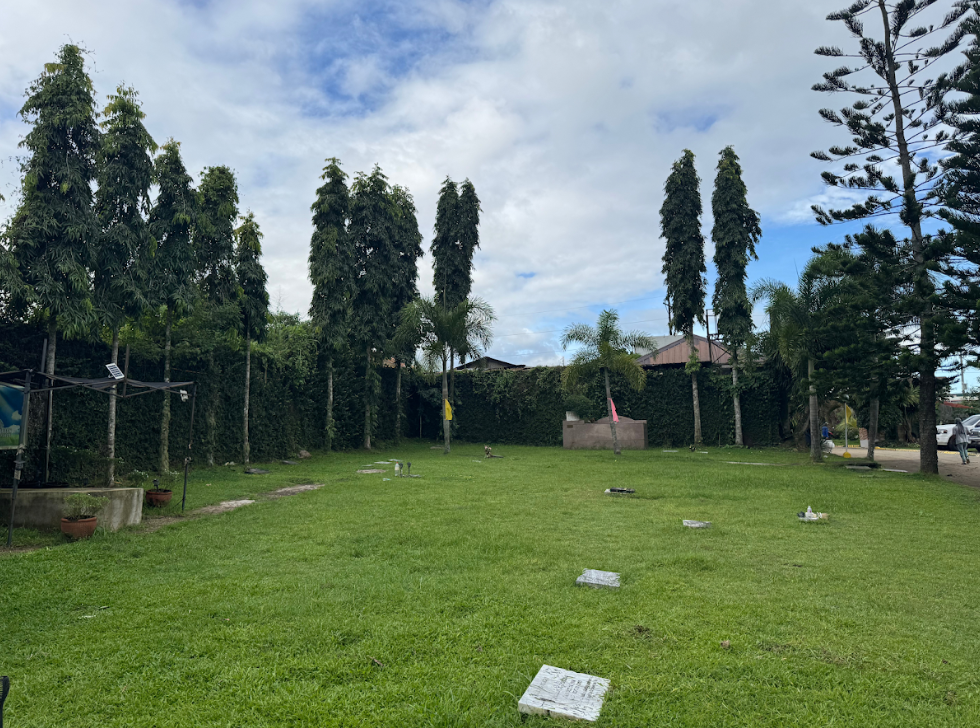 Garden of Eden